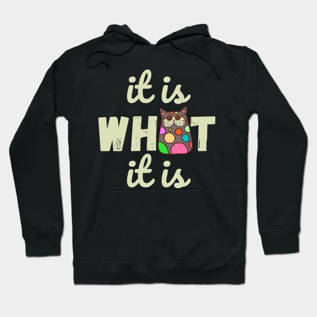 It is What It is Doodle Cat Hoodie by Teewyld